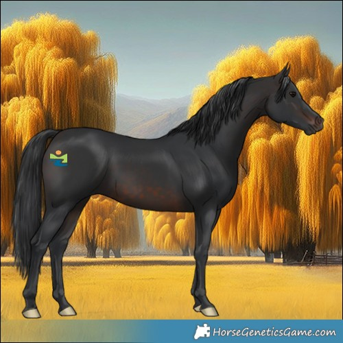 Horse Color:Brown 