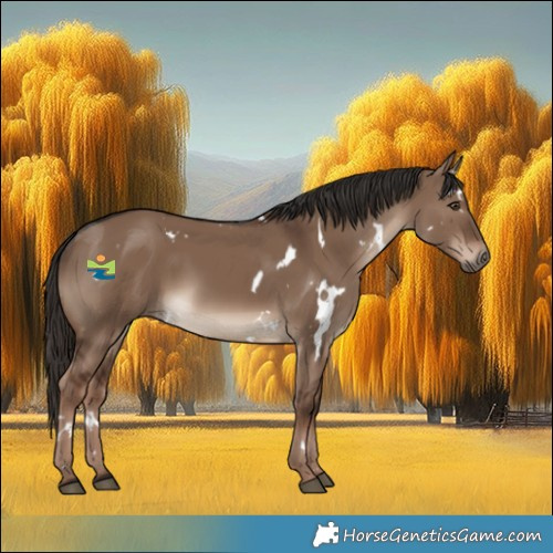 Horse Color:White Spotted Liver Red Dun 