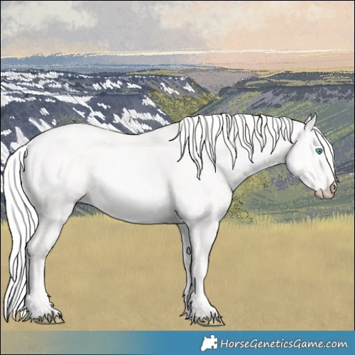 Horse Color:Cremello Dun 