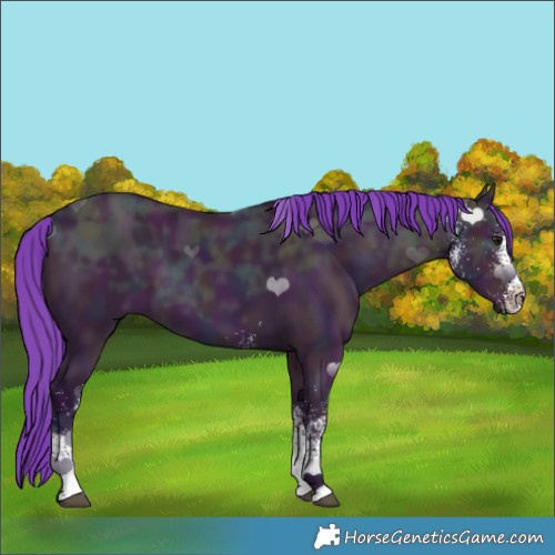 Horse Color:Watercolor White Spotted Midnight Bay Ice 