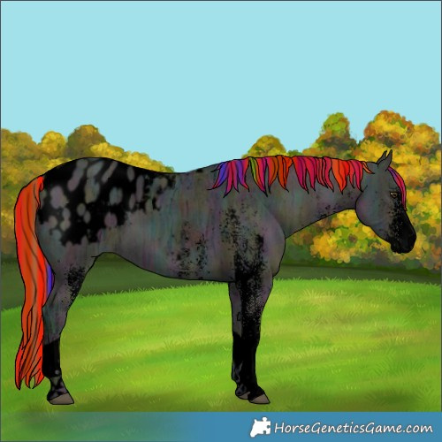 Horse Color:Void Painted White Spotted Midnight Buckskin Ice Dun Tobiano Appaloosa 