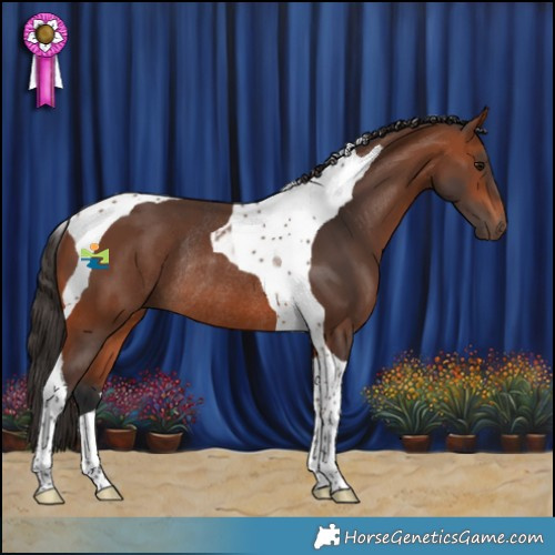 Horse Color:Bay Tobiano Rabicano