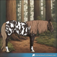 Horse Color:Liver Chestnut Blanket