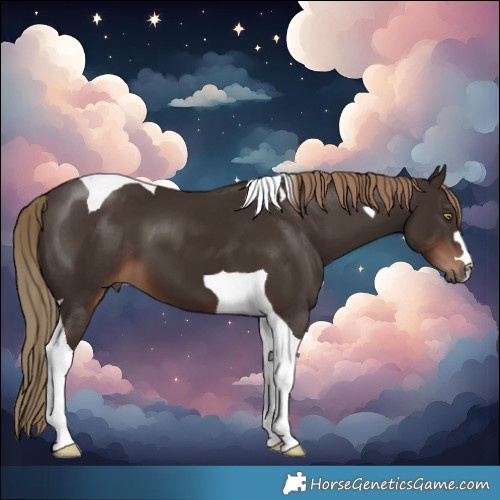 Horse Color:Liver Chestnut Tobiano 