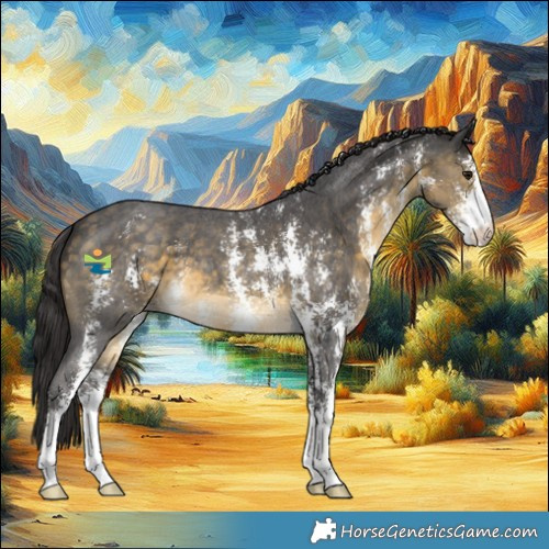 Horse Color:Buckskin Sabino Skewed Appaloosa 