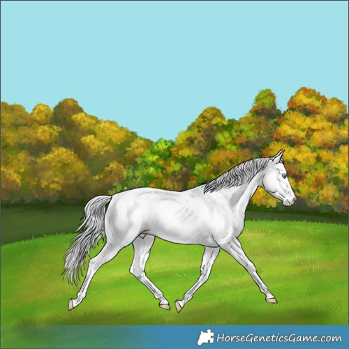 Horse Color:Silver Brown Chinchilla Dun Sabino