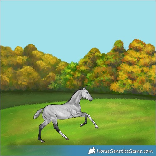 Horse Color:White Spotted Silver Brown Chinchilla Dun Tobiano 