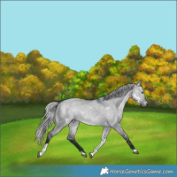 Horse Color:White Spotted Silver Brown Chinchilla Dun Tobiano