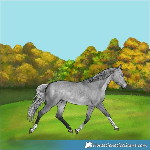 Horse Color:Silver Brown Chinchilla Dun Tobiano 