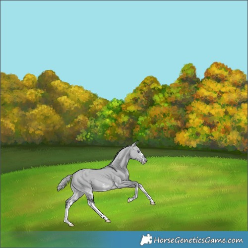 Horse Color:Silver Brown Chinchilla Dun Sabino 