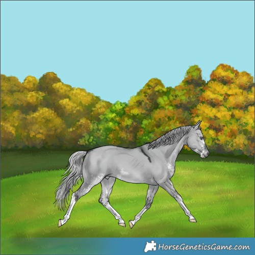 Horse Color:Silver Brown Chinchilla Dun Sabino