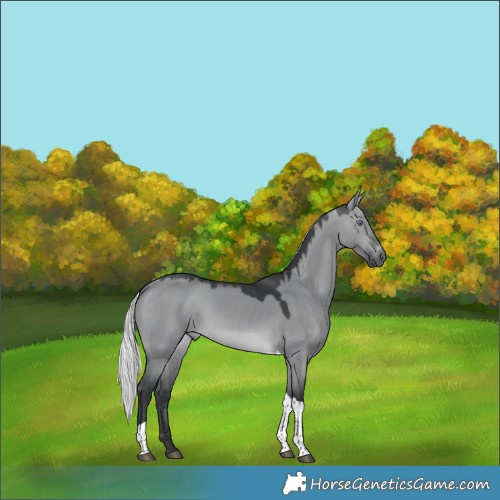 Horse Color:Silver Brown Chinchilla Dun Tobiano 