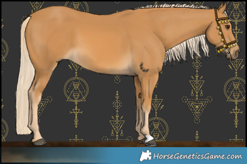 Horse Color:Palomino