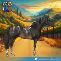 Horse Color:Powder White Buckskin Tobiano Rabicano