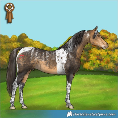 Horse Color:Powder White Buckskin Tobiano Rabicano 