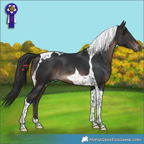 Horse Color:Brown Tobiano 