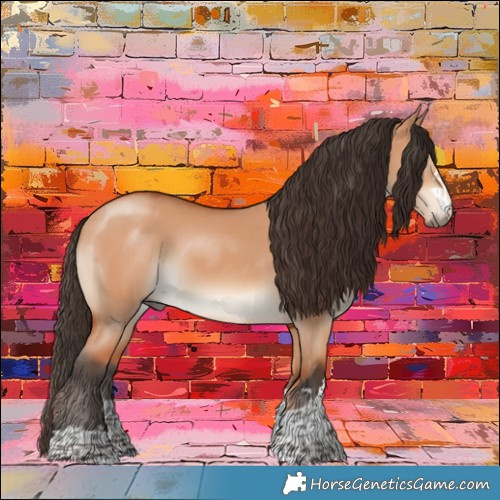 Horse Color:Bay Dun Rabicano