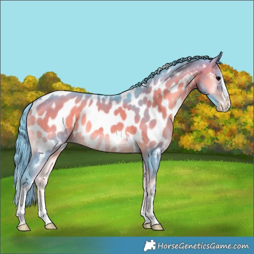 Horse Color:Watercolor Brown Onyx Splash Tobiano Near Leopard