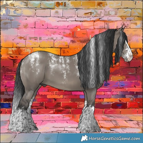 Horse Color:Powder White Grullo Sabino Splash