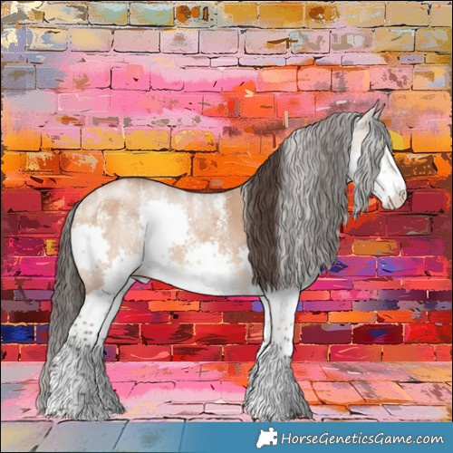 Horse Color:Powder White Bay Dun Sabino Splash Rabicano