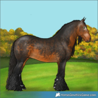 Horse Color:Gray Buckskin