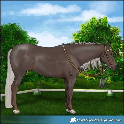 Horse Color:Silver Black 