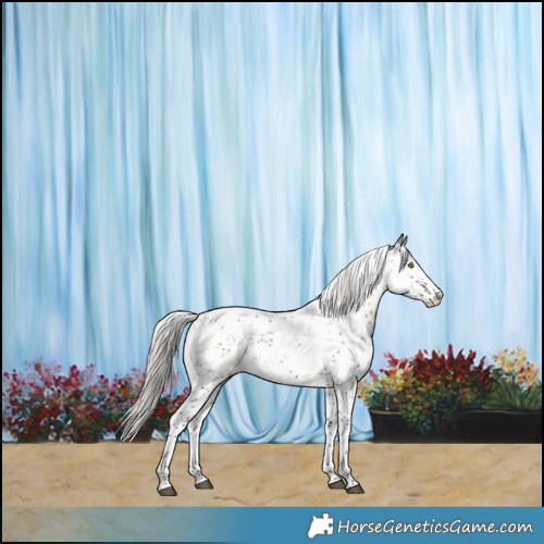 Horse Color:Silver Grullo Sabino 