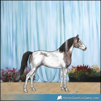 Horse Color:Brown Sabino Splash Tobiano Frame Skewed LP Spotted