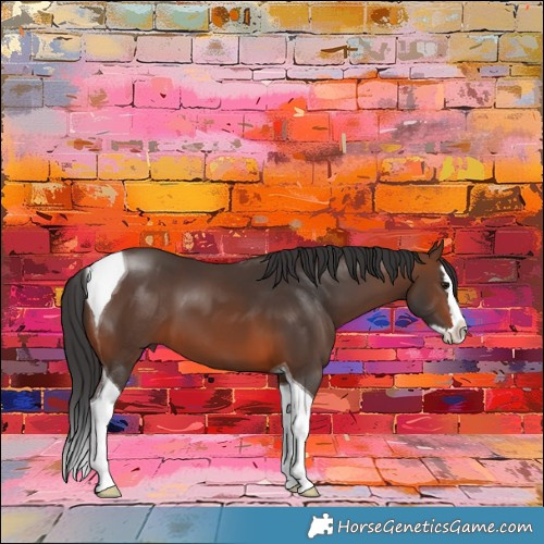 Horse Color:Brown Splash Tobiano