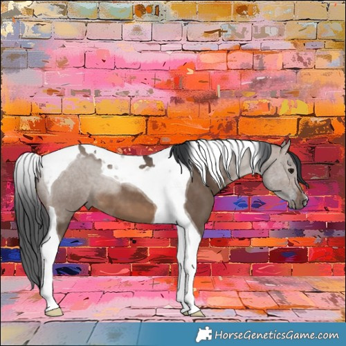 Horse Color:Brown Dun Tobiano