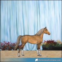 Horse Color:Chocolate Palomino Dun Brindle 