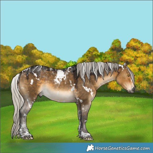 Horse Color:Powder White Gray White Spotted Silver Buckskin Dun