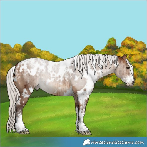 Horse Color:Powder White White Spotted Silver Bay Dun Brindle 