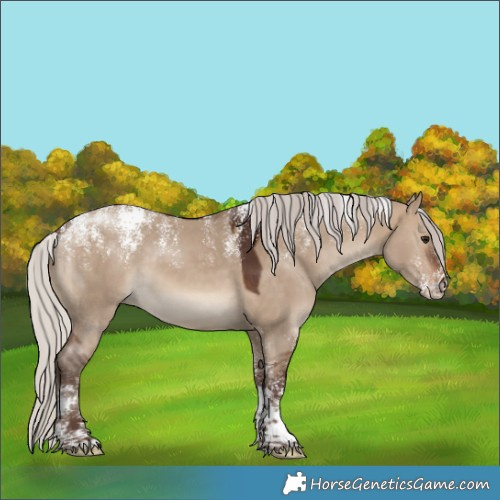 Horse Color:Powder White Silver Brown Dun 
