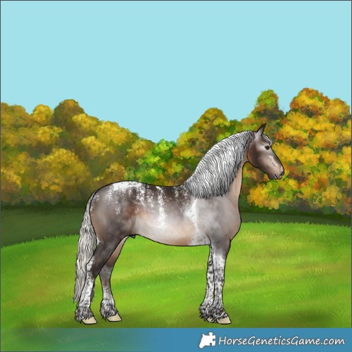 Horse Color:Powder White Gray Silver Brown Tobiano 