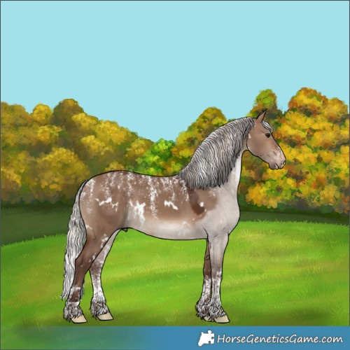 Horse Color:Powder White White Spotted Silver Brown Dun