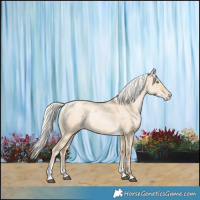 Horse Color:Silver Smoky Grullo Pearl Sabino Skewed Appaloosa 
