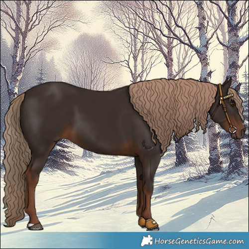 Horse Color:Liver Chestnut 