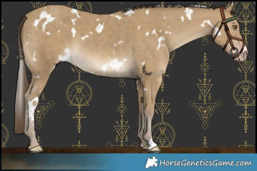 Horse Color:White Spotted Classic Cream Champagne 