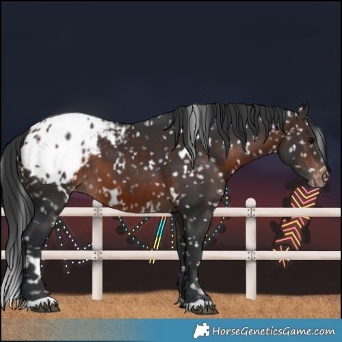 Horse Color:White Spotted Brown Blanket 