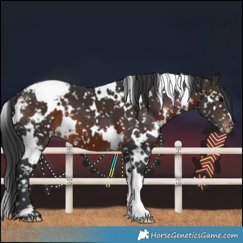 Horse Color:White Spotted Brown Snowcap 