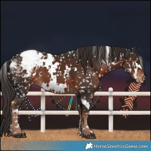 Horse Color:White Spotted Liver Chestnut Snowflake Varnish