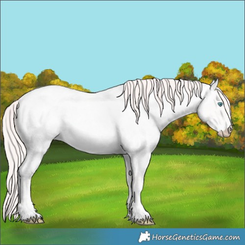 Horse Color:Perlino Roan 