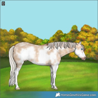 Horse Color:Silver Brown Dun Sabino Splash Frame Rabicano 
