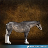 Horse Color:Silver Smoky Black Sabino