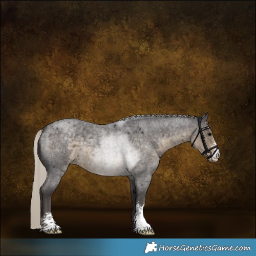 Horse Color:Silver Smoky Blue Roan Sabino