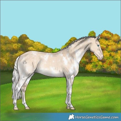 Horse Color:White Spotted Silver Perlino Dun Tobiano Appaloosa Rabicano