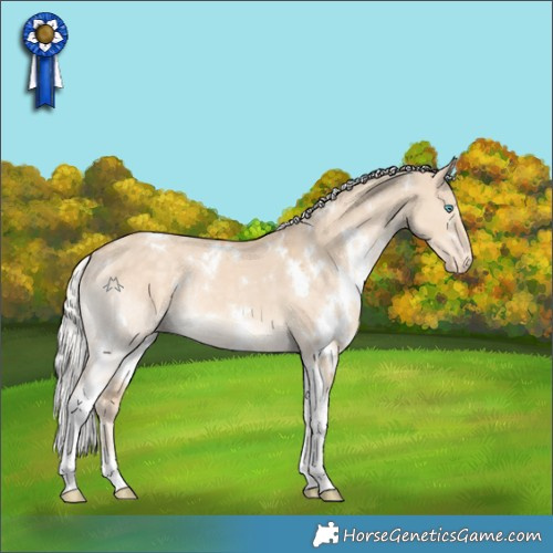 Horse Color:White Spotted Silver Perlino Dun Tobiano Varnish Rabicano