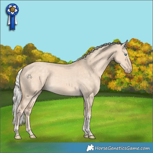 Horse Color:Silver Perlino Dun Tobiano 