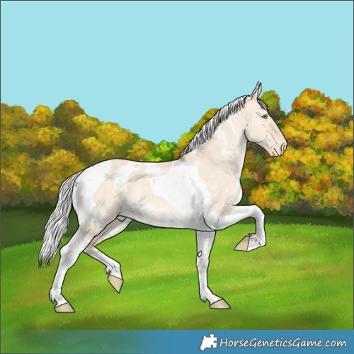 Horse Color:White Spotted Silver Perlino Dun Tobiano Appaloosa Rabicano 